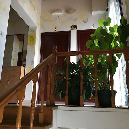 Apartments Upitnik 赫尔采格诺维 外观 照片