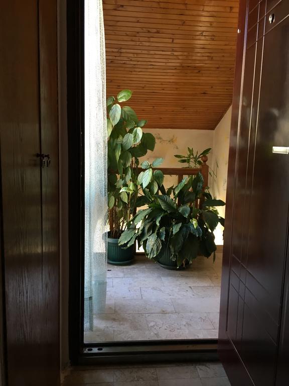 Apartments Upitnik 赫尔采格诺维 外观 照片